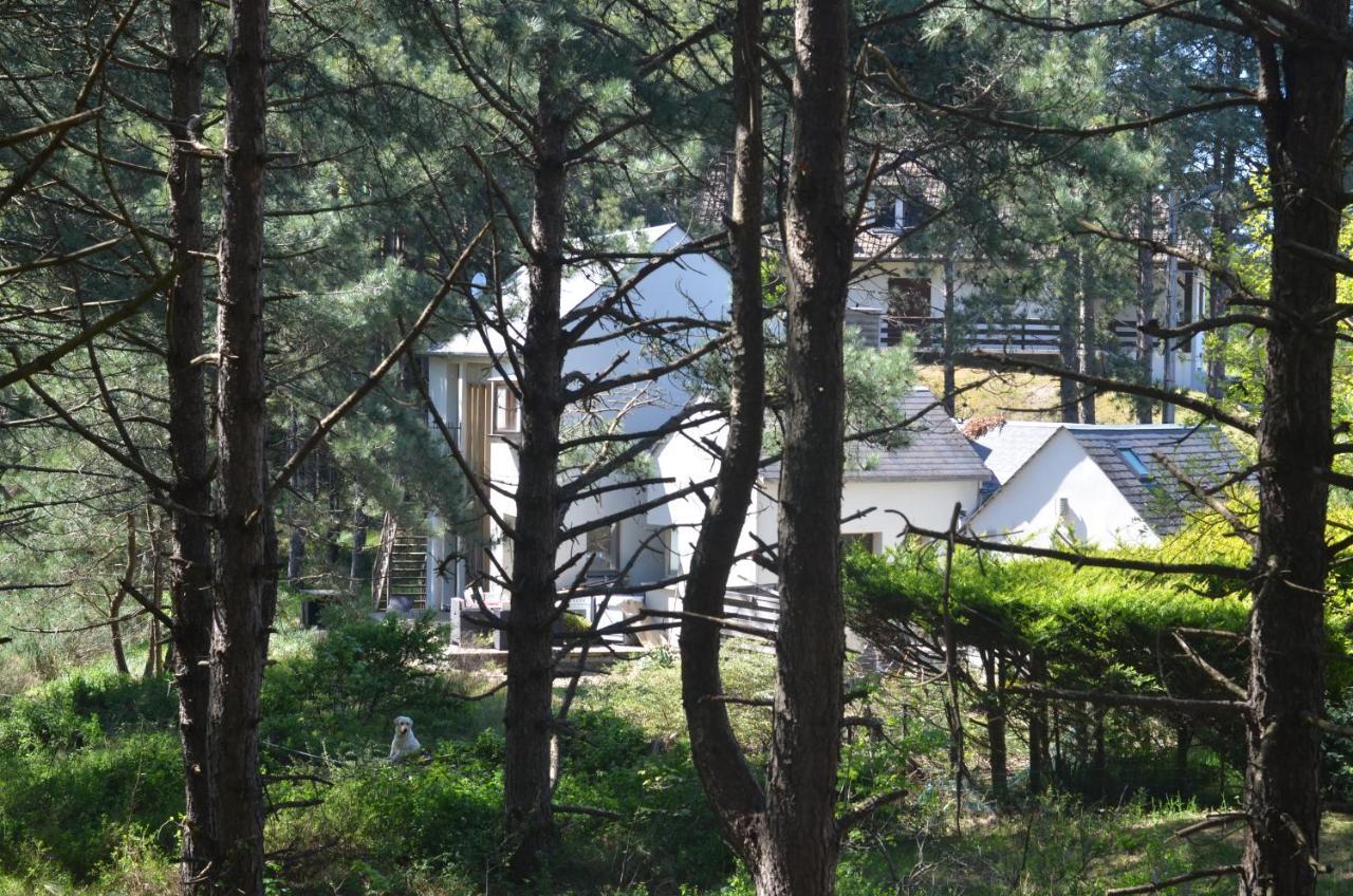 La Villa Dans Les Pins Quend Bagian luar foto