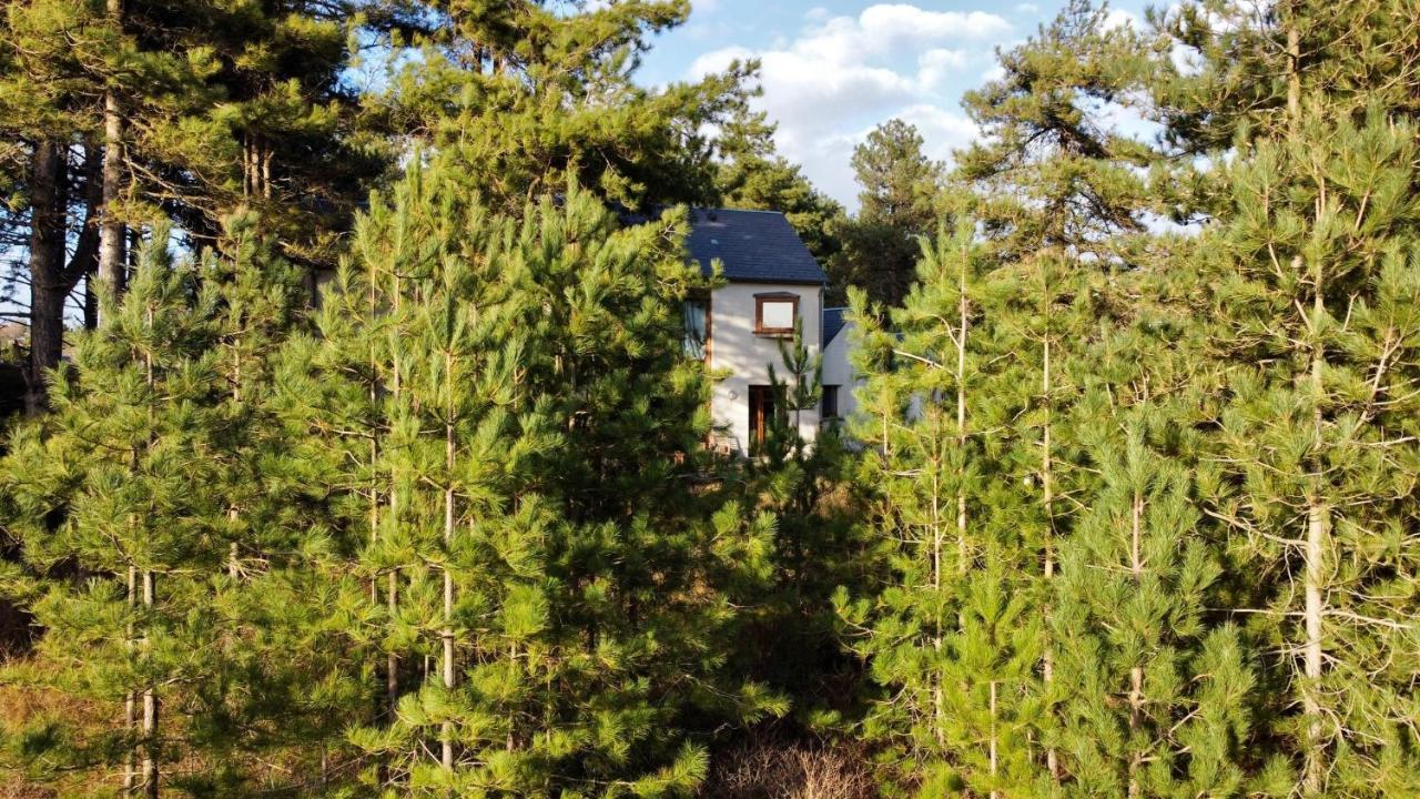 La Villa Dans Les Pins Quend Bagian luar foto