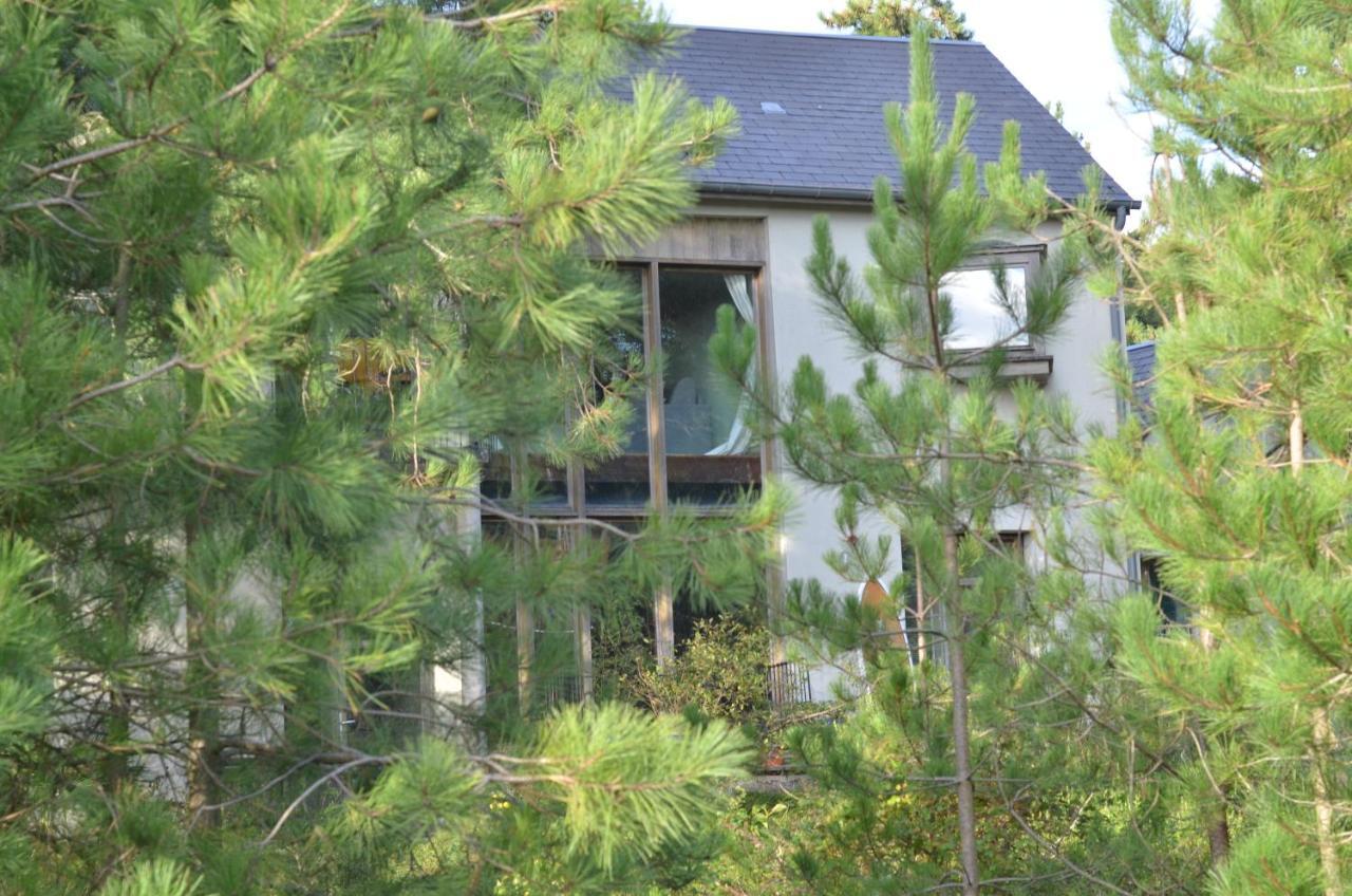 La Villa Dans Les Pins Quend Bagian luar foto