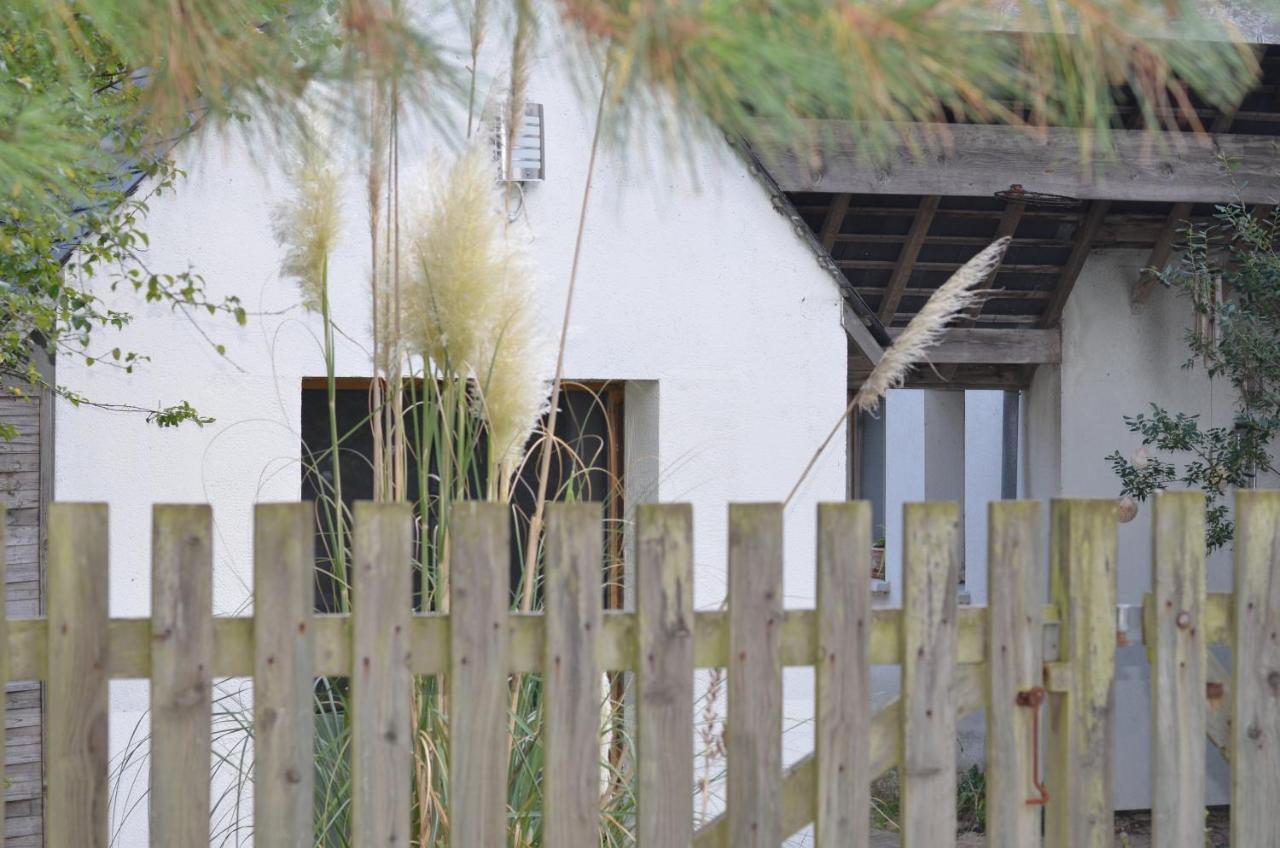 La Villa Dans Les Pins Quend Bagian luar foto